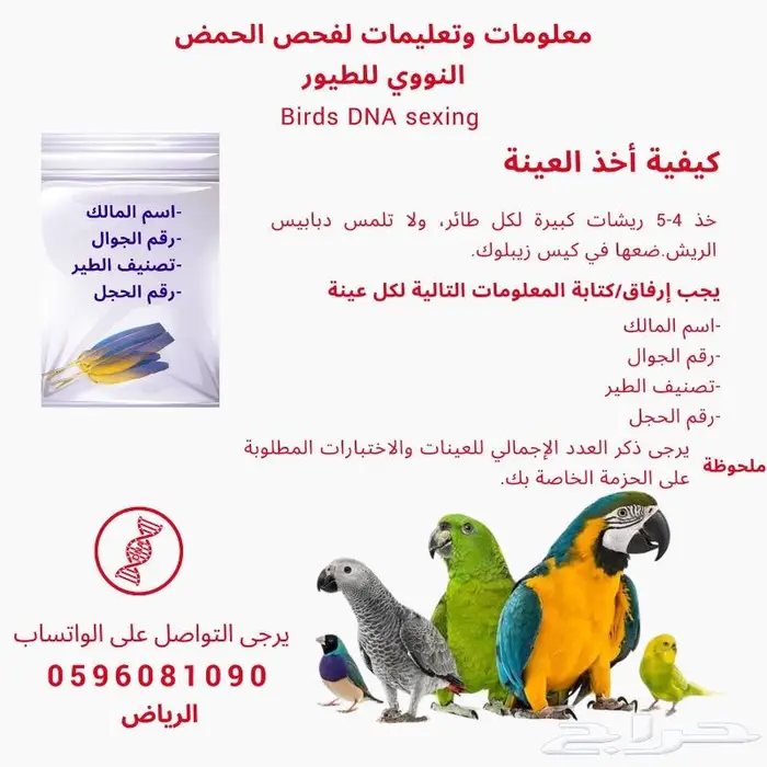 تحديد جنس الطيور بتحليل DNA- النتيجة خلال اسبوعين 3