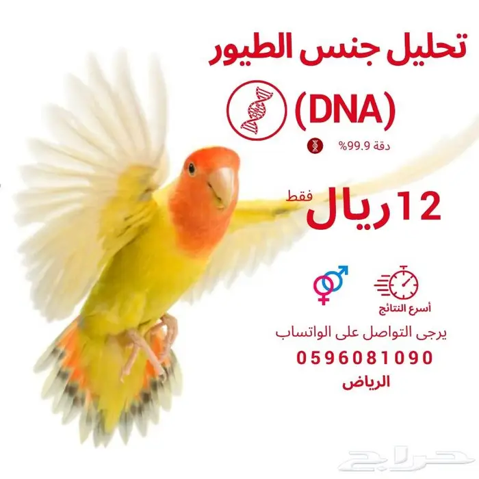 تحديد جنس الطيور بتحليل DNA- النتيجة خلال اسبوعين 2
