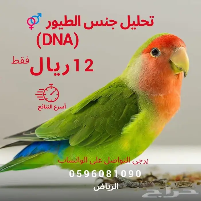 تحديد جنس الطيور بتحليل DNA- النتيجة خلال اسبوعين 0