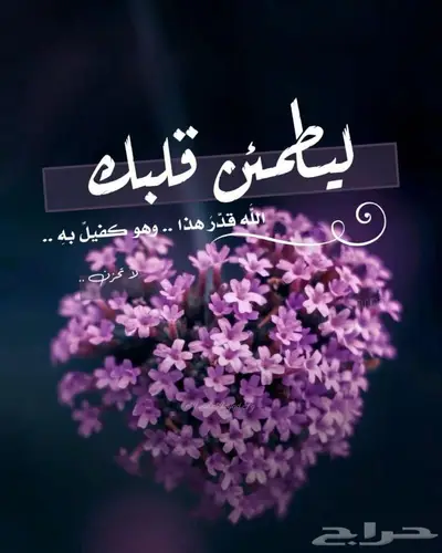 احتاج حفايض لكبار السن لوجه الله تعالى 0