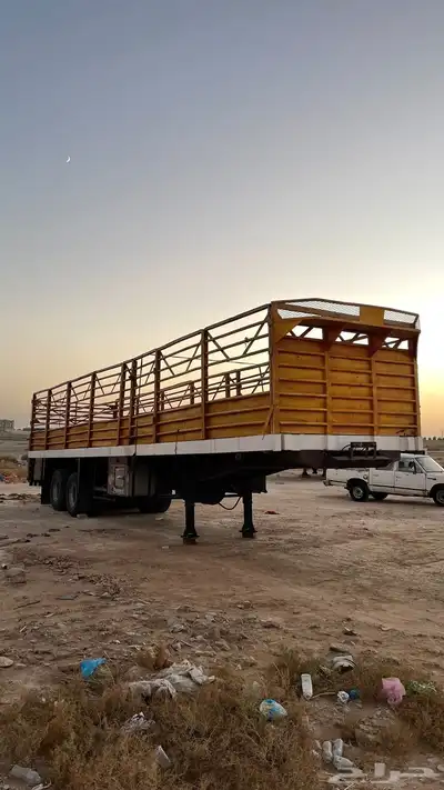 تيدر جوانب 0