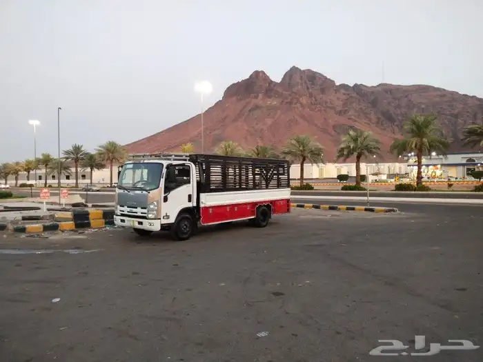 دينا لنقل الاثاث والبضايع 3