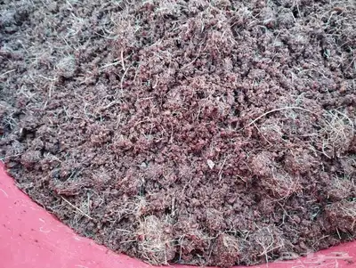 كوكوبيت cocopeat للزراعة 4
