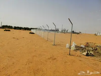 شبوك مزارع القصيم شقرا الدوادمي القرنه 4