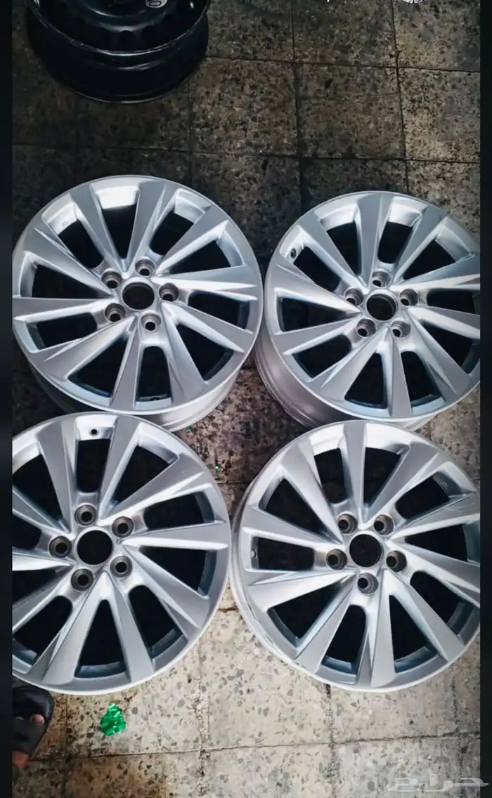 جنوط كامري 2024 0