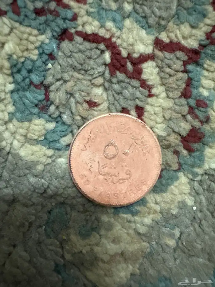 قرش 1