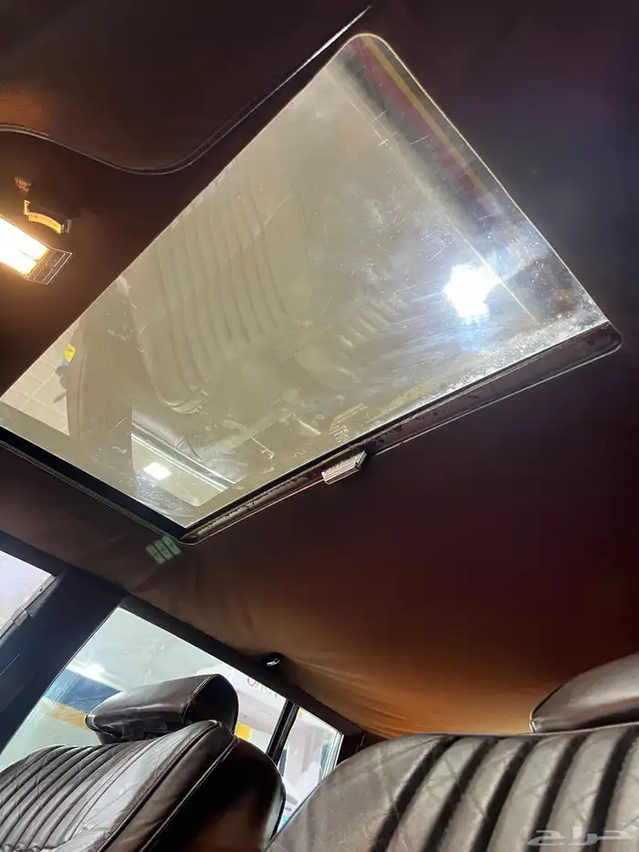 كدلك ديفيل . 19