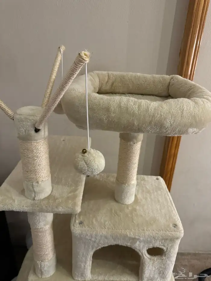 خداشه قطط نظيفة 2