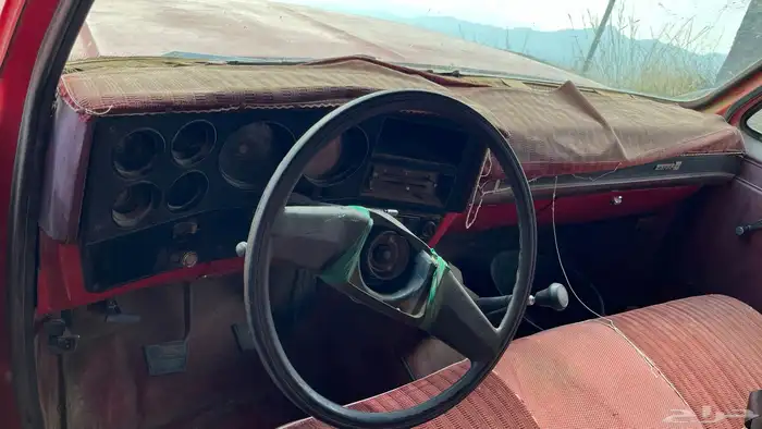 جموس نحل للبيع   القريع بني مالك البشران 10