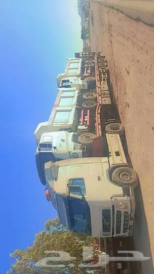 لوبد موجود في العلا 0