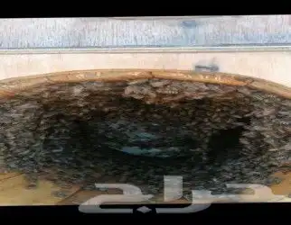 يوجد نحل للبيع خلايا حايلي نحل غنامي واميات نحل طيب مليان 3