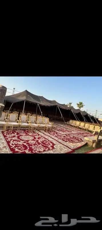 تاجير كنب مفرد كنب ثلاثي زي الملكي كراسي ملكي طاولات قزاز 0