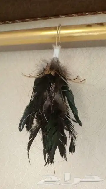 نقل طرح الصقور 6