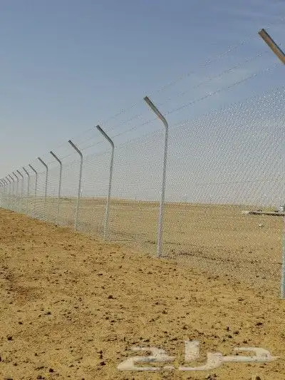 شبوك مزارع القصيم شقرا الدوادمي القرنه 5