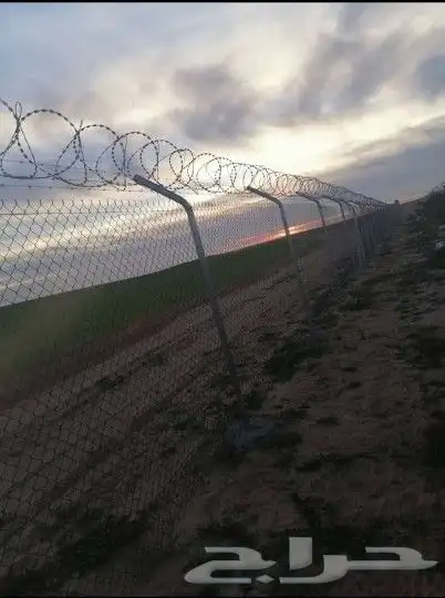 نقوم بتنفيذ الشبوك ونخيل والشغال الحجر الطبيعي وتوريد نخيل و 2