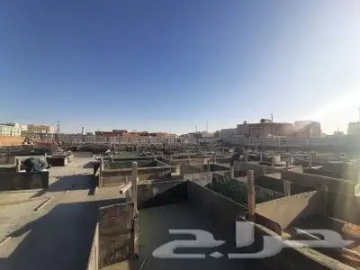حياكم 2