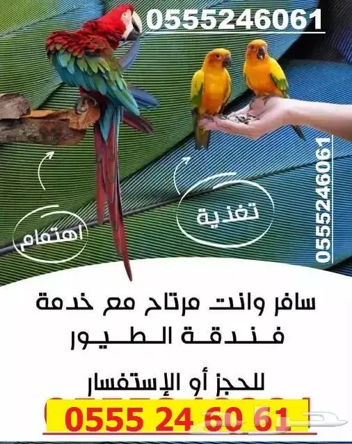 فندقة قطط وطيور 6061 24 0555 سافر وارتاح - شاهد التقييمات 3