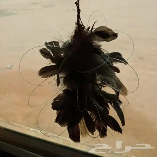 نقل طرح الصقور 2