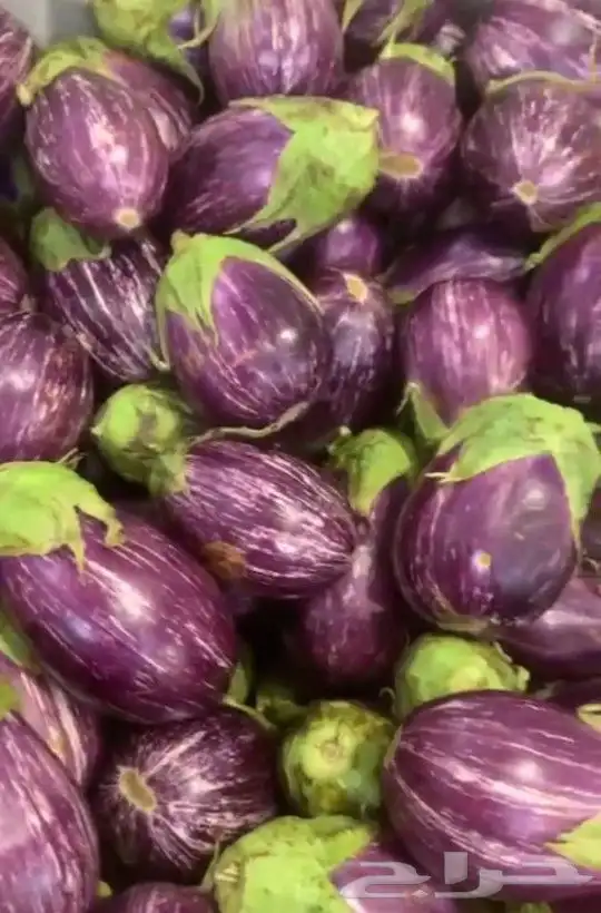 دبس فليفله. تازه 1