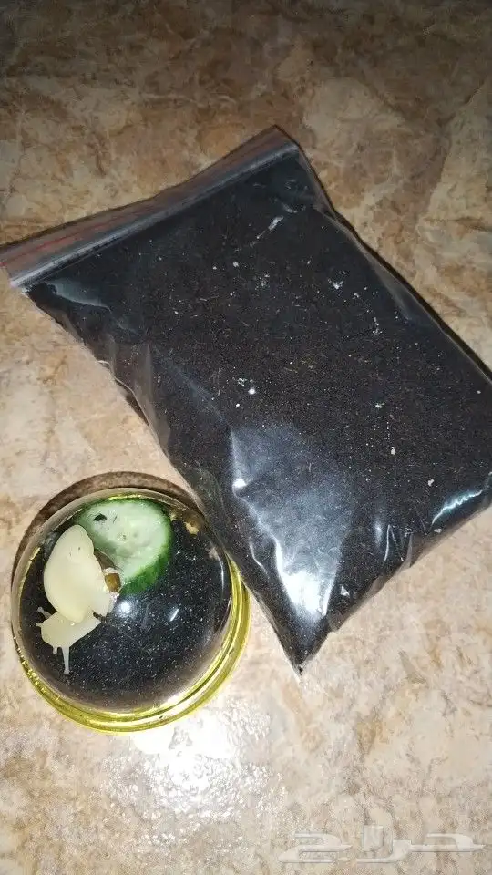 مستلزمات حلزونات كيس تراب بخاخ مويه 100مل 3