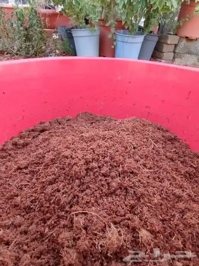 كوكوبيت cocopeat للزراعة 5