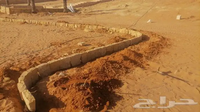 نقوم بتنفيذ الشبوك ونخيل والشغال الحجر الطبيعي وتوريد نخيل و 1