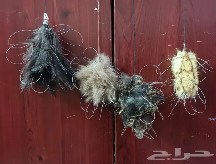 نقل طرح الصقور 0