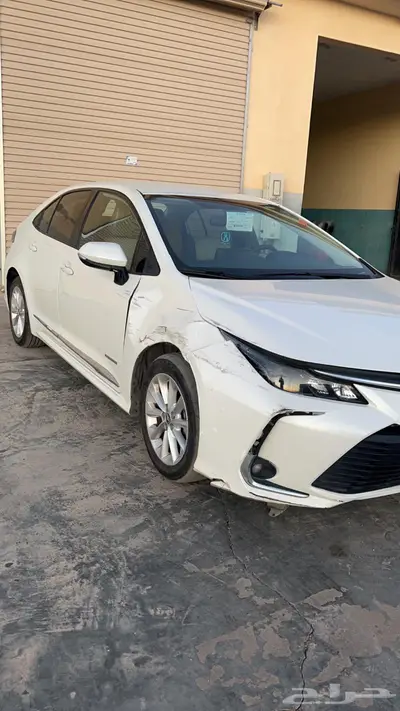 ورشة المبدع الذهبي طريف 8