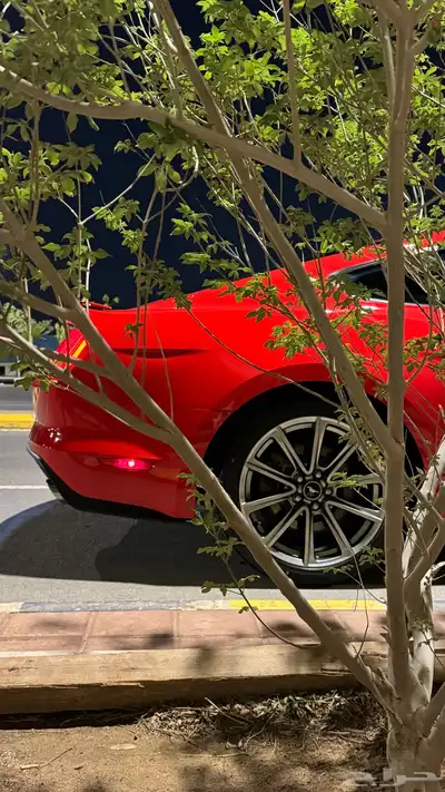 موستنق GT مخزن 1