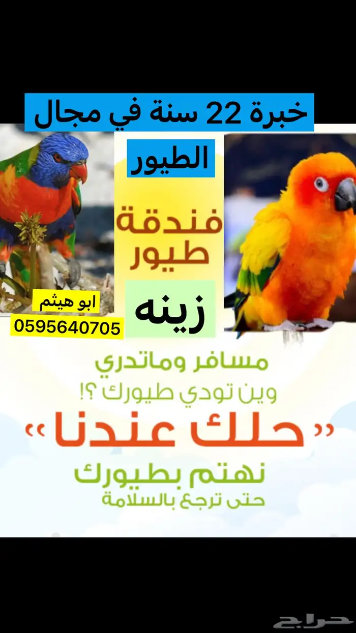 فندقة طيور زينه 0