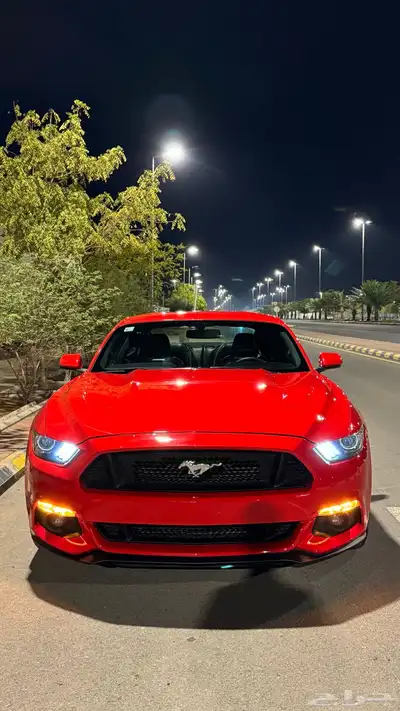 موستنق GT مخزن 10