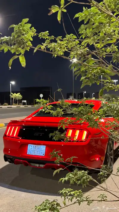 موستنق GT مخزن 19