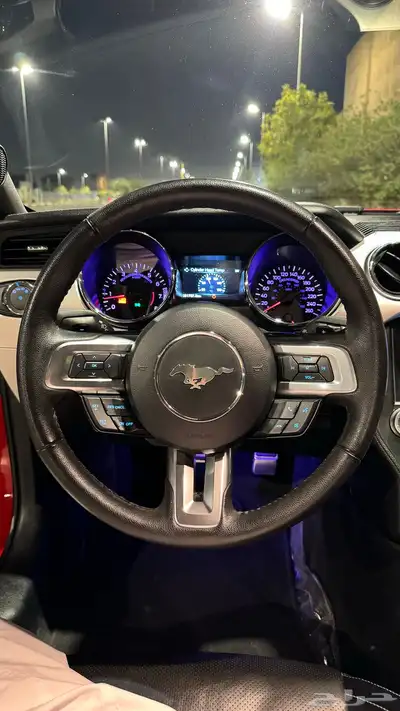موستنق GT مخزن 29