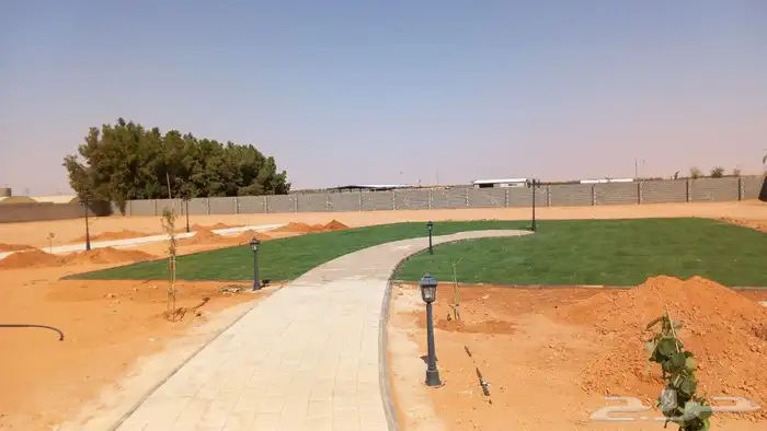 ثيل طبيعي سي 2000 فرنسي 1