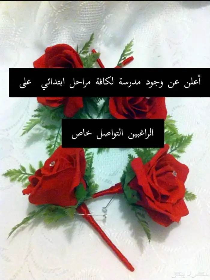 مدرسه خصوصية 0