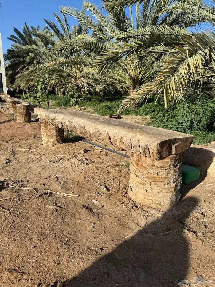 سعف نخيل جريد عسيب 23