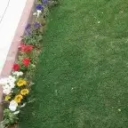 تنسيق حدائق المنطقه الشرقيه 7