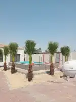 زراعه نخيل واشنطنيا والعشب الطبيعي 0