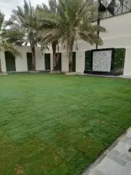 ثيل طبيعي سي 2000 فرنسي 5