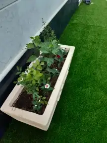 تنسيق حدائق المنطقه الشرقيه 2