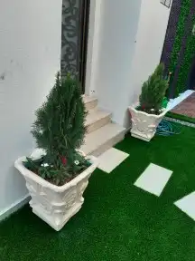 تنسيق حدائق المنطقه الشرقيه 1