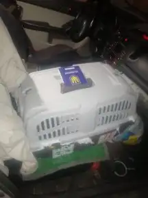 موصل طيور حيونات اليفه امنات 1