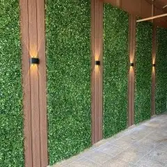 عشب خارجي سطح حوش 6