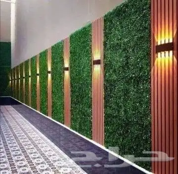 عشب خارجي سطح حوش 0