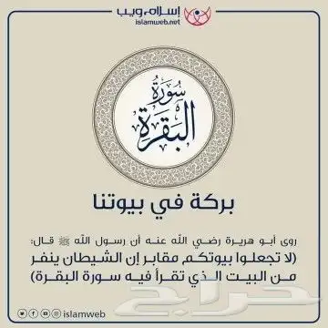 مندوب مبيعات انترنت منزلي ومكتبي زين 0