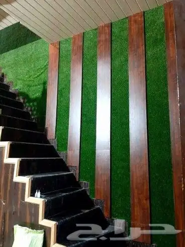 عشب خارجي سطح حوش 4