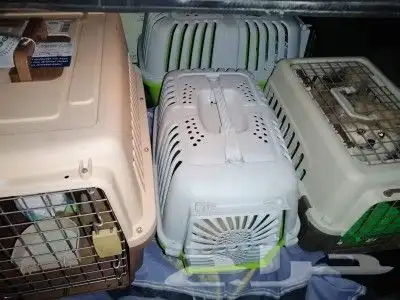 موصل طيور حيونات اليفه امنات 0