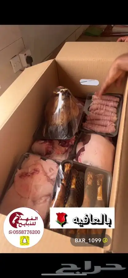 ذبائح للبيع حايل 18
