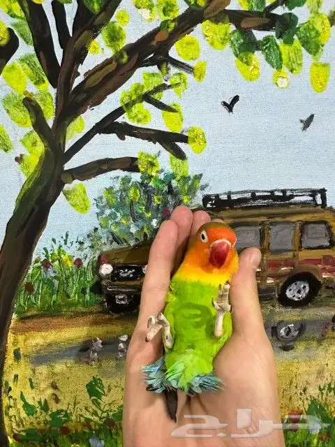 فشر أليف وهدد متكلم ((تم البيع )) 1