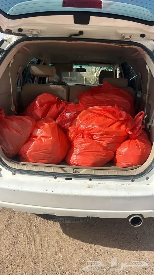 ذبائح للبيع حايل 17